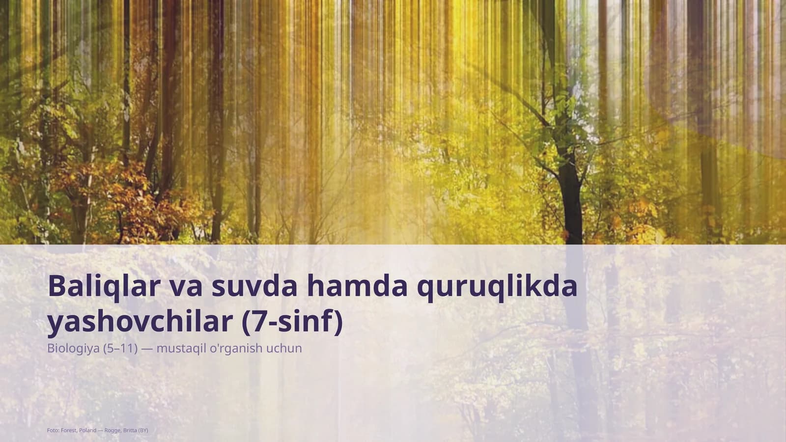 Baliqlar va suvda hamda quruqlikda yashovchilar (7-sinf)