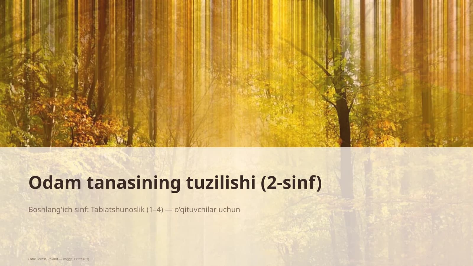 Odamlarin tuzilishi (2-sinf)