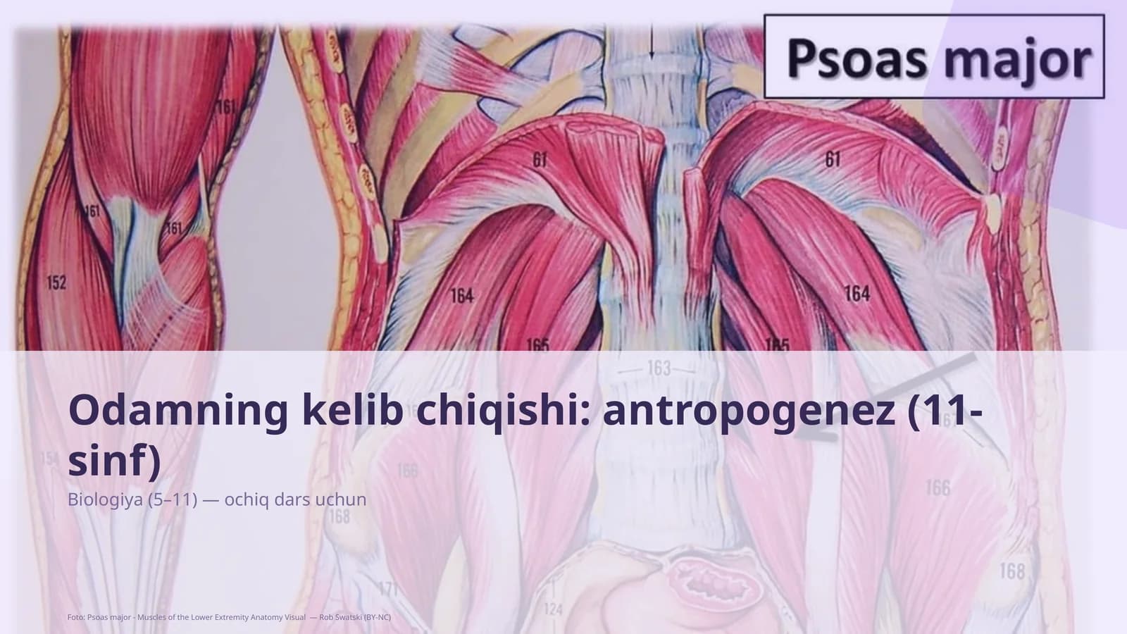 Biologiya (5–11) — ochiq dars uchun