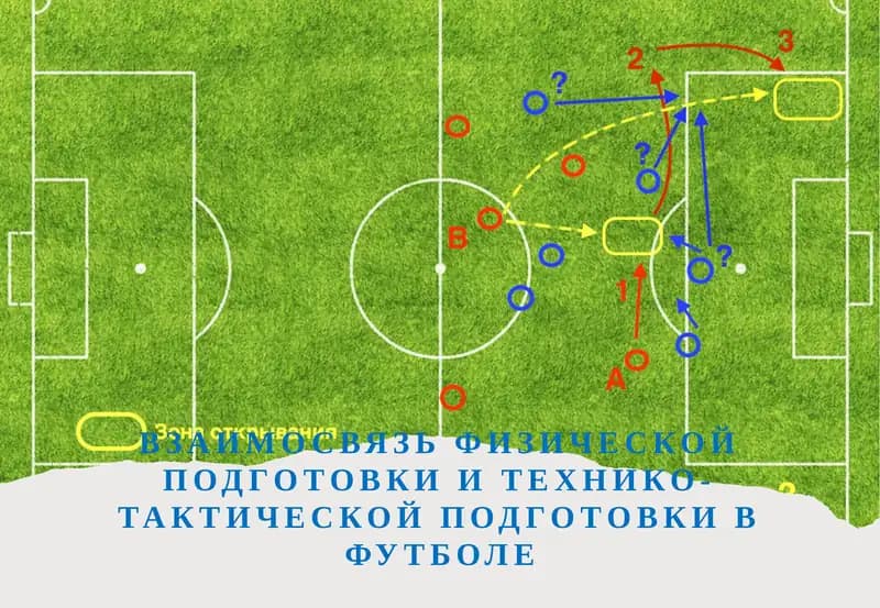 Взаимосвязь физической подготовки и технико-тактической подготовки в футболе