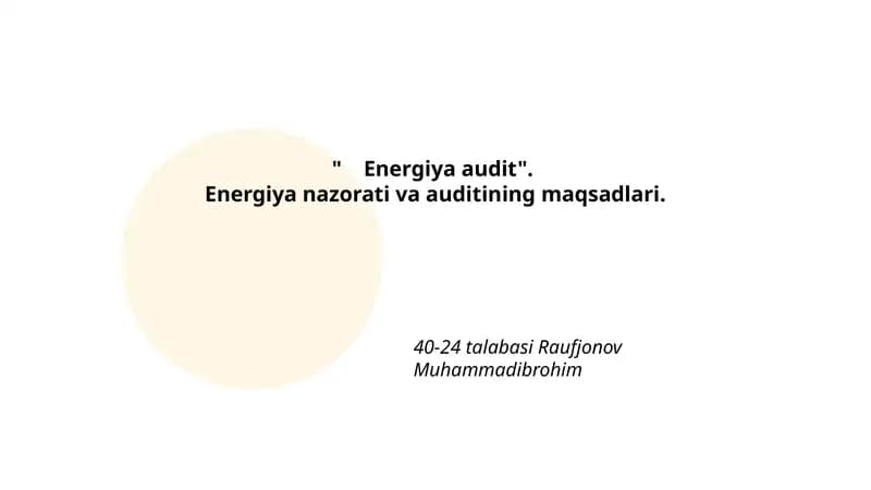 Energiya audit