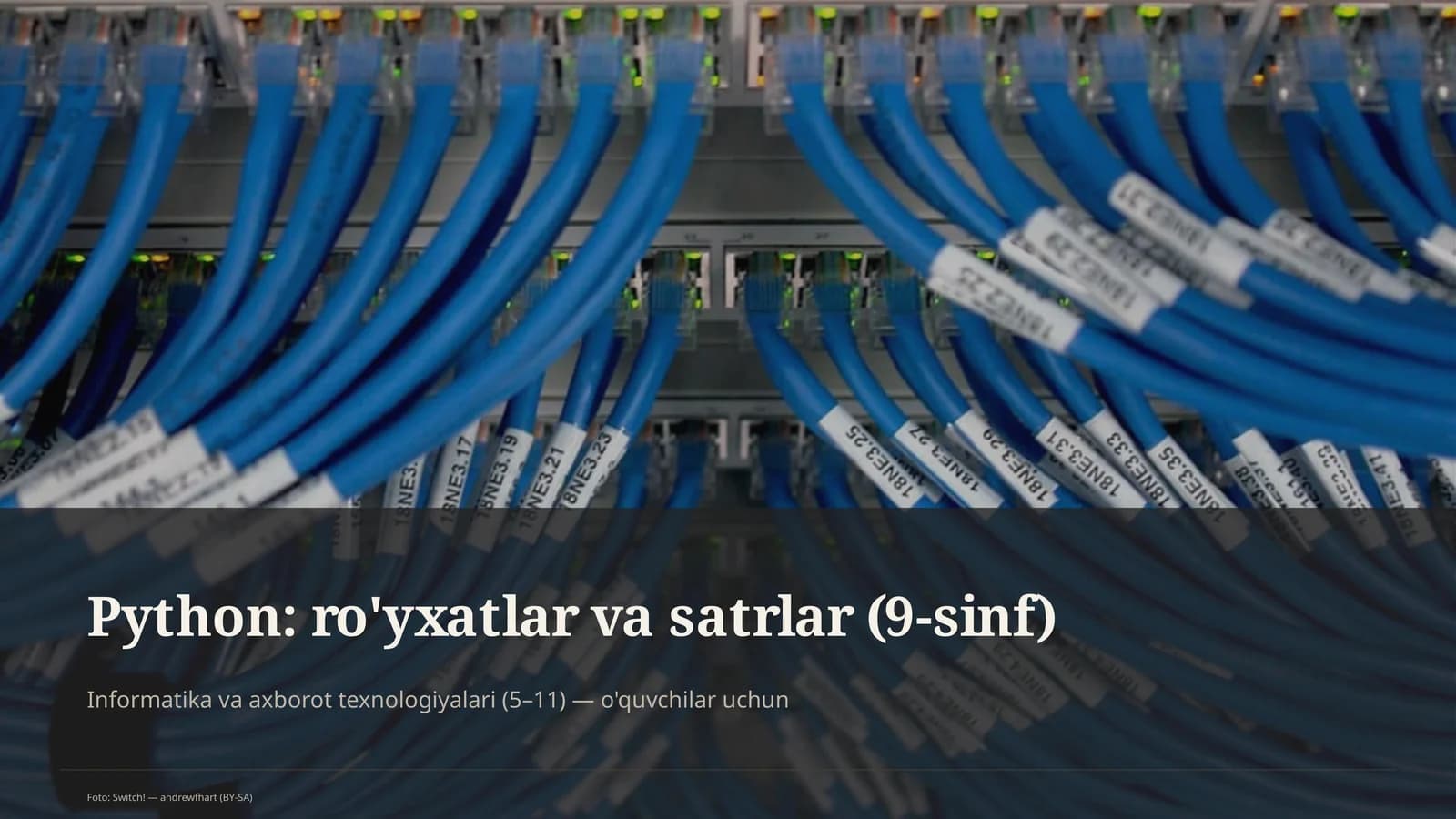 Python: ro'yxatlar va satrlar (9-sinf)