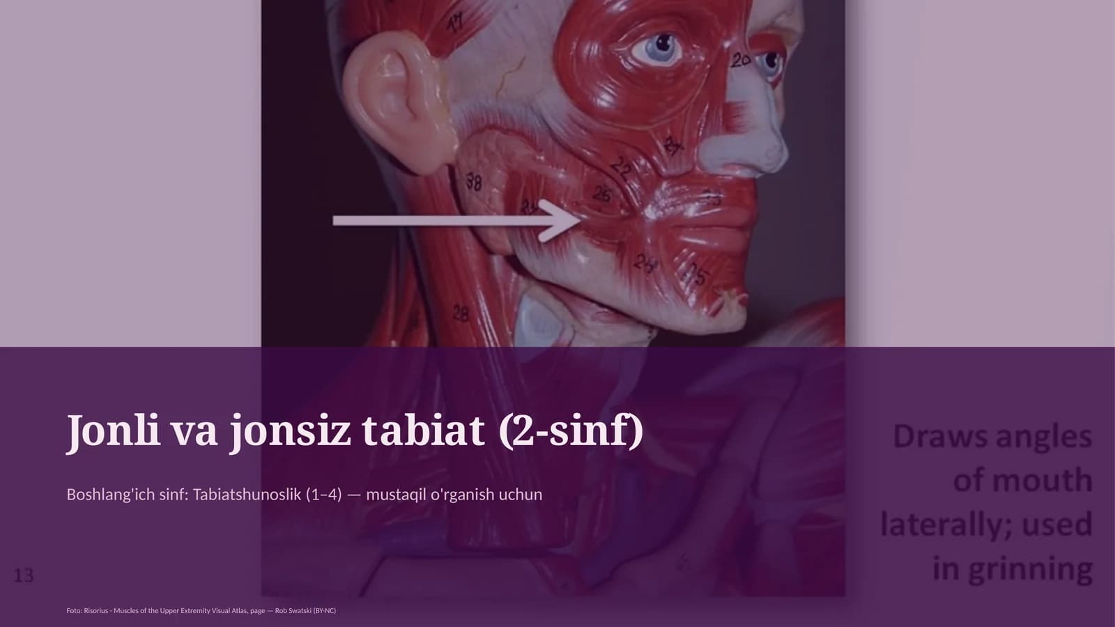 Jonli va jonsiz tabiat (2-sinf)