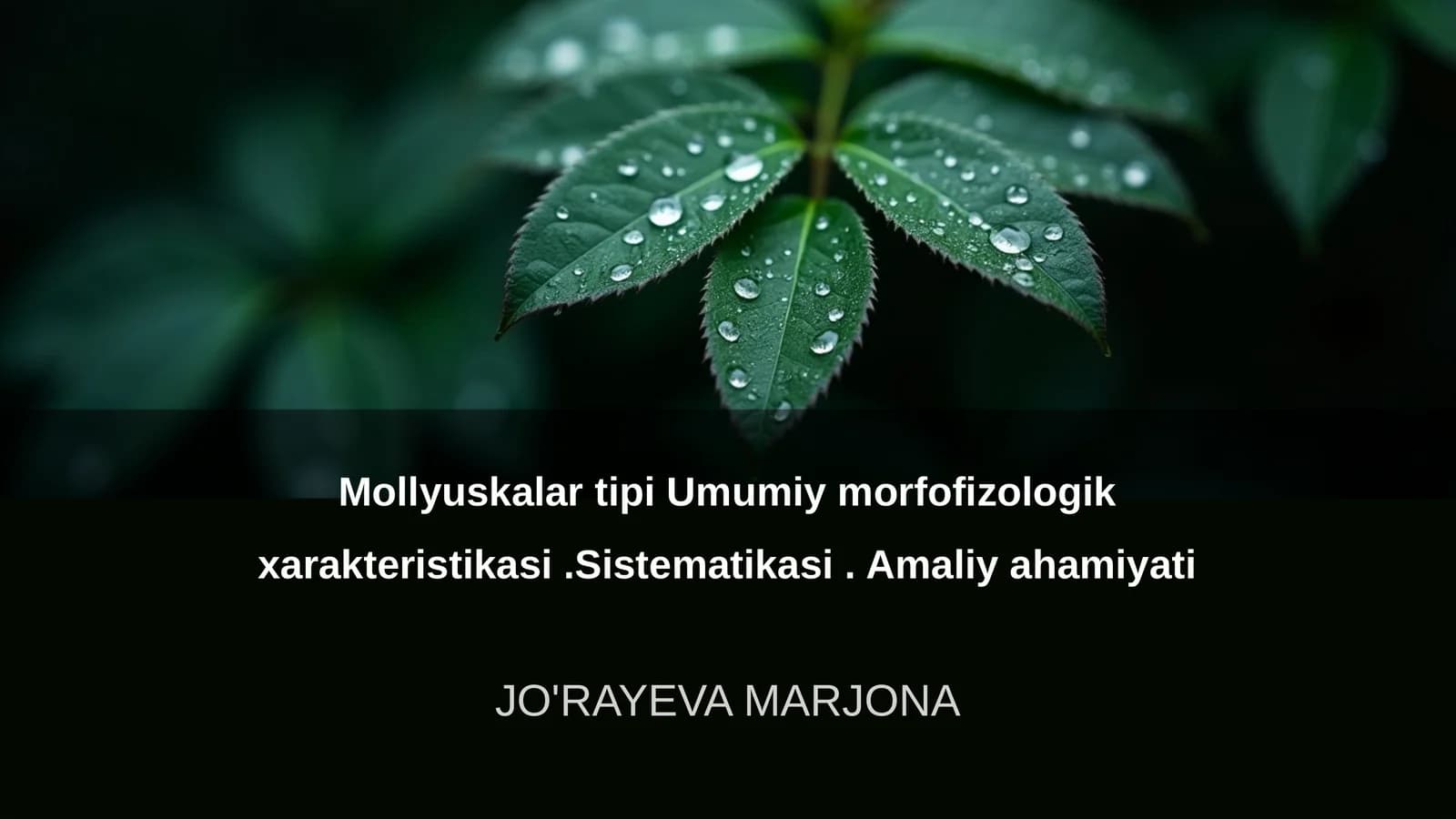 Mollyuskalar tipi Umumiy morfofizologik xarakteristikasi