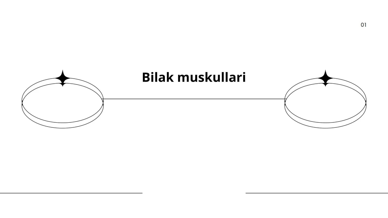 Bilak muskullari anatomiyasi