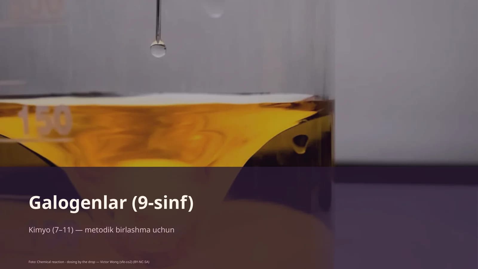 Galogenlar (9-sinf)