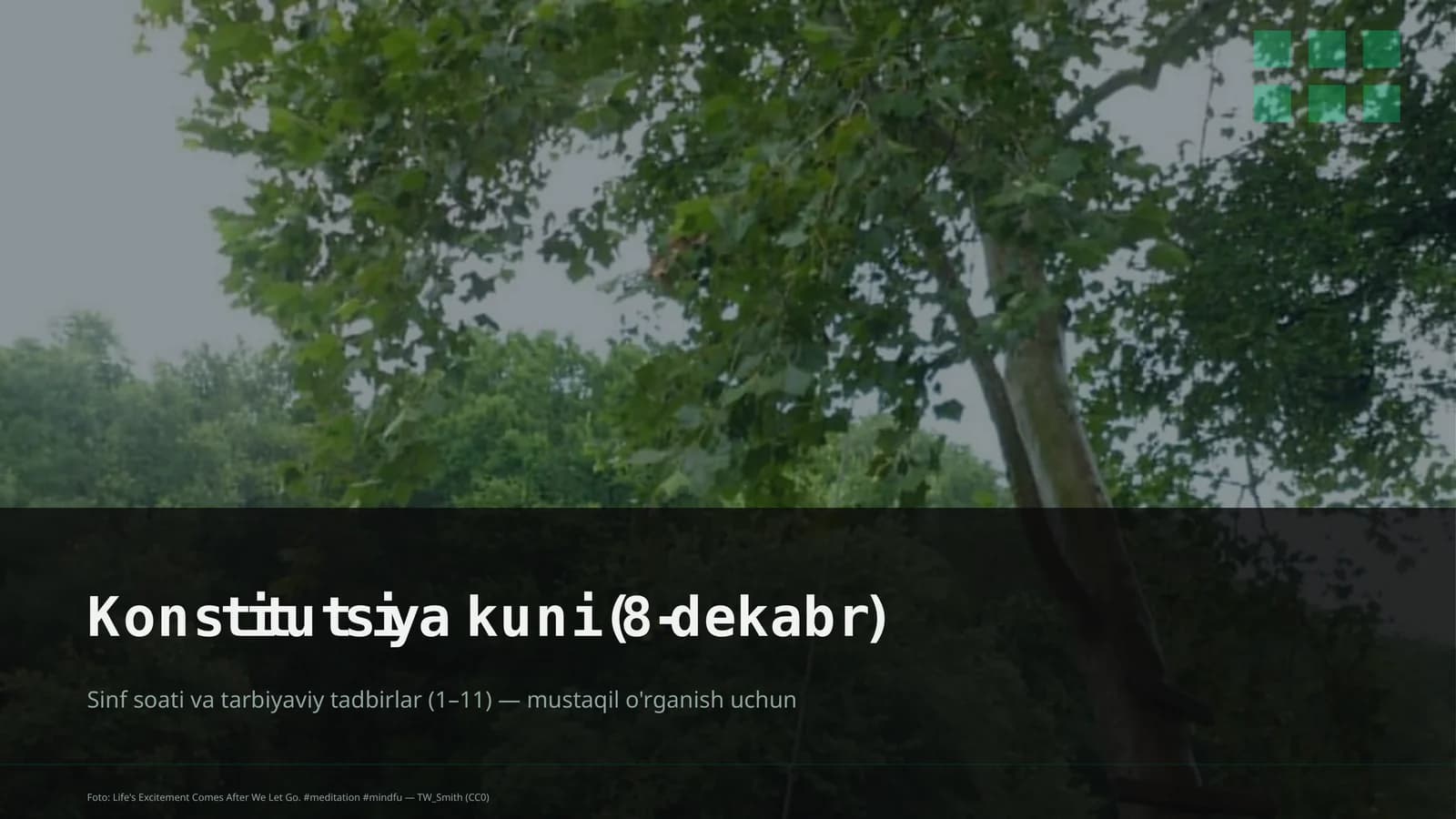 Dars rejasi