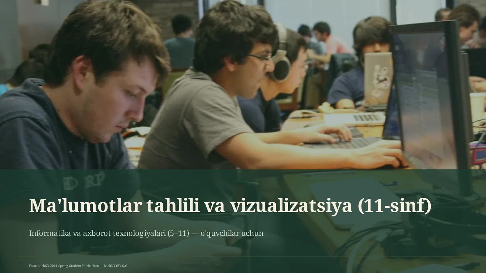Ma'lumotlar tahlili va vizualizatsiya (11-sinf)