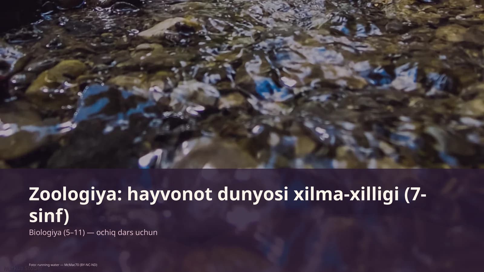 Zoologiya: hayvonot dunyosi xilma-xilligi (7-sinf)