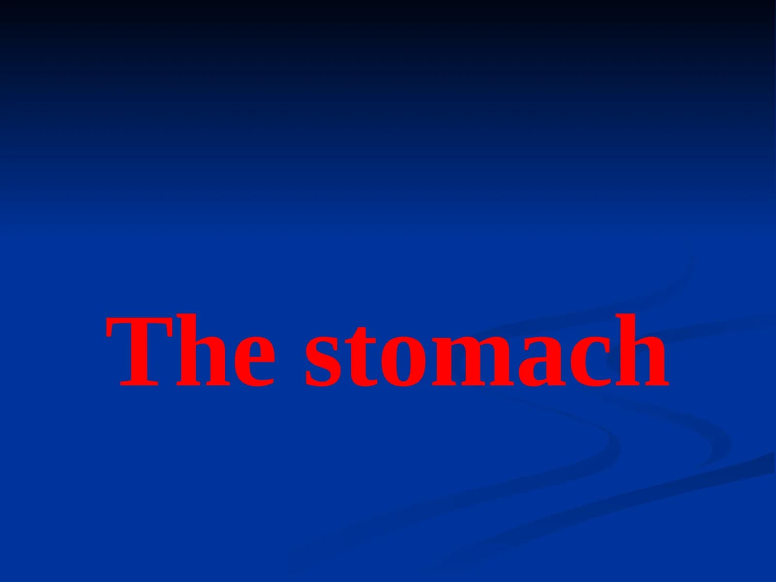 The stomach