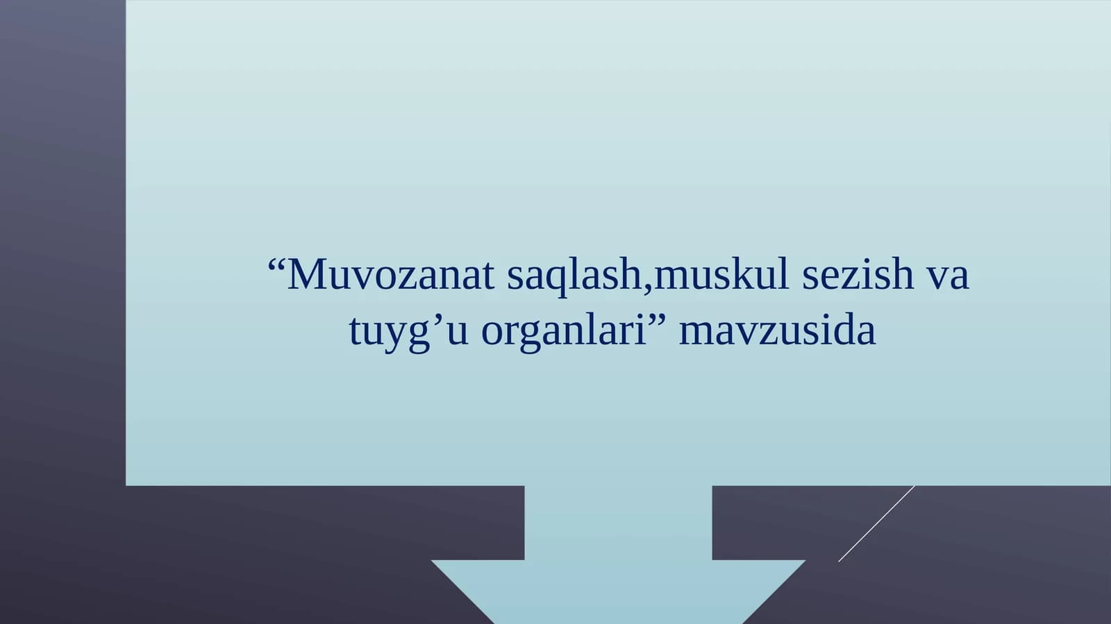 Muvozanatsaqlash, muskulsezish va tuyg’u organlari