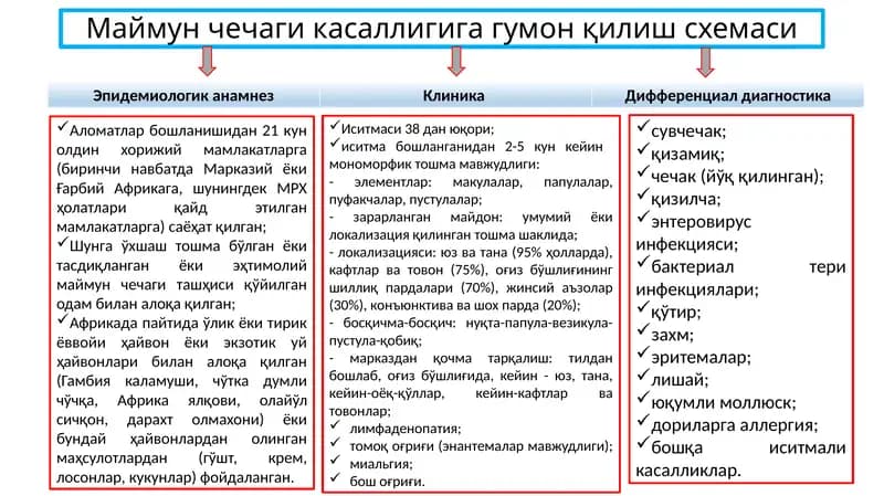 Маймун чечаги касаллигига гумон қилиш схемаси