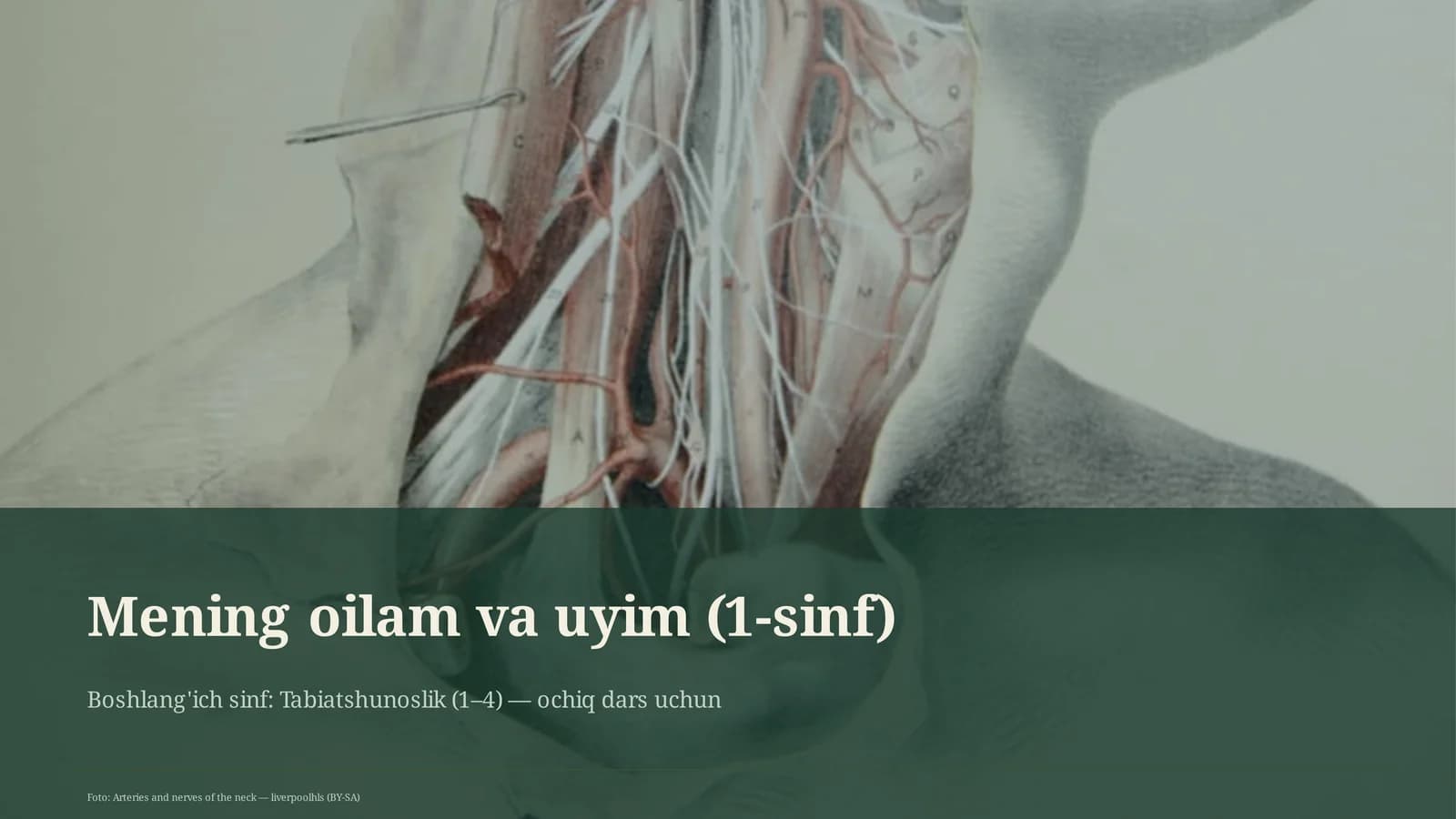 Boshlang'ich sinf: Tabiatshunoslik (1-4)