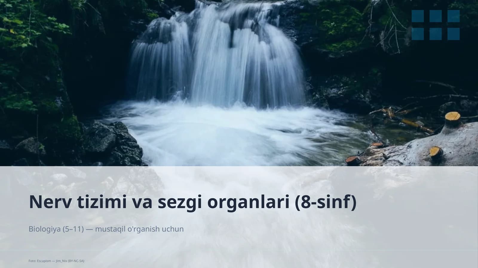 Nerv tizimi va sezgi organlari (8-sinf)
