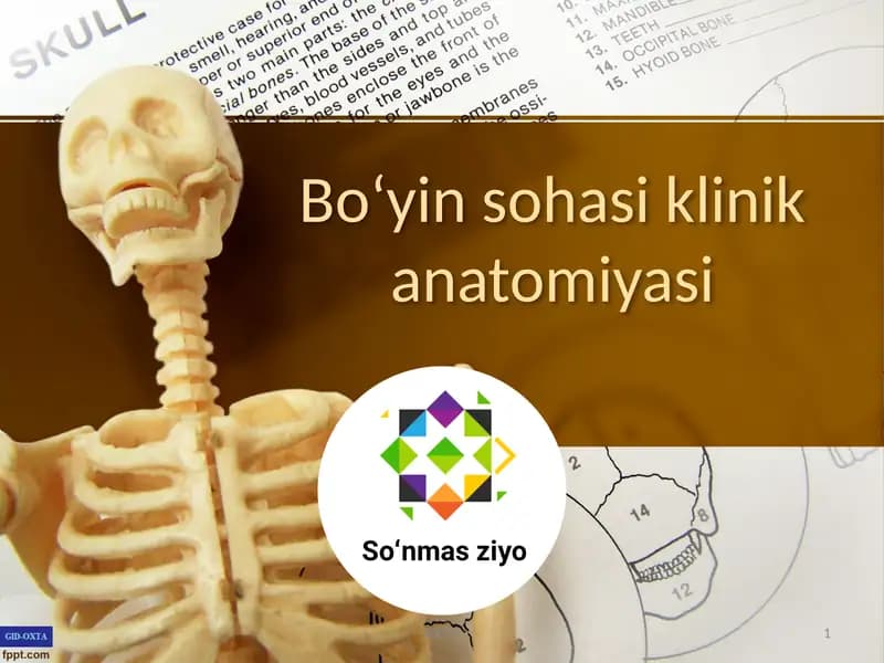 Boʻyin sohasi klinik anatomiyasi