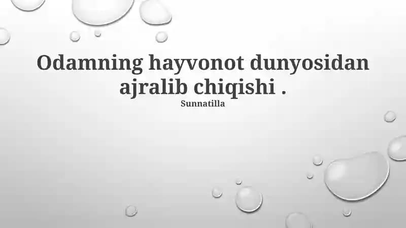 Evolyutsion Taqsimot