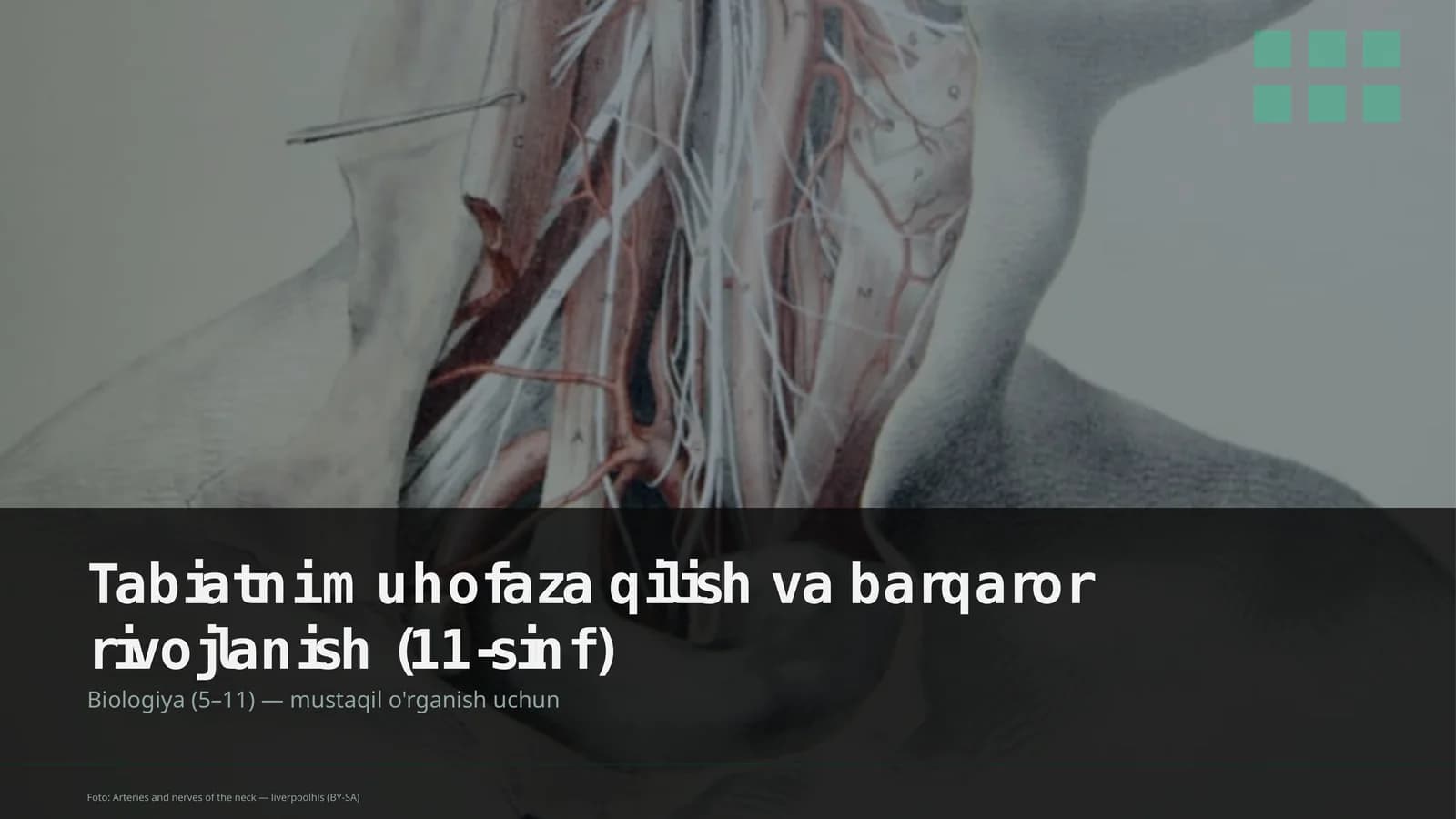 Tabiatni muhofaza qilish va barqaror rivojlanish (11-sinf)