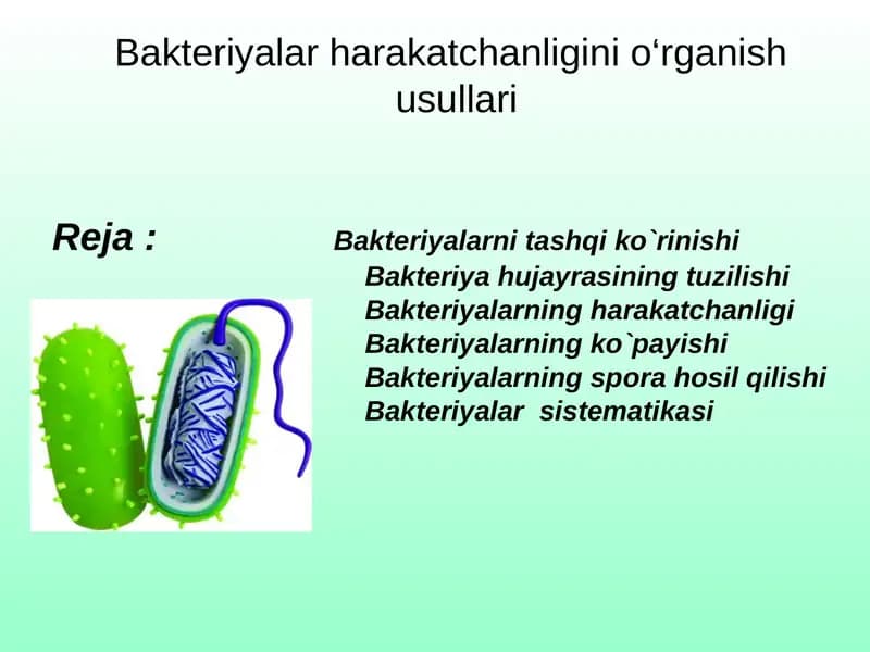 Bakteriyalar harakatchanligini o‘rganish usullari
