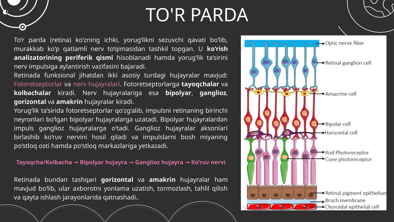 TO'R PARDA