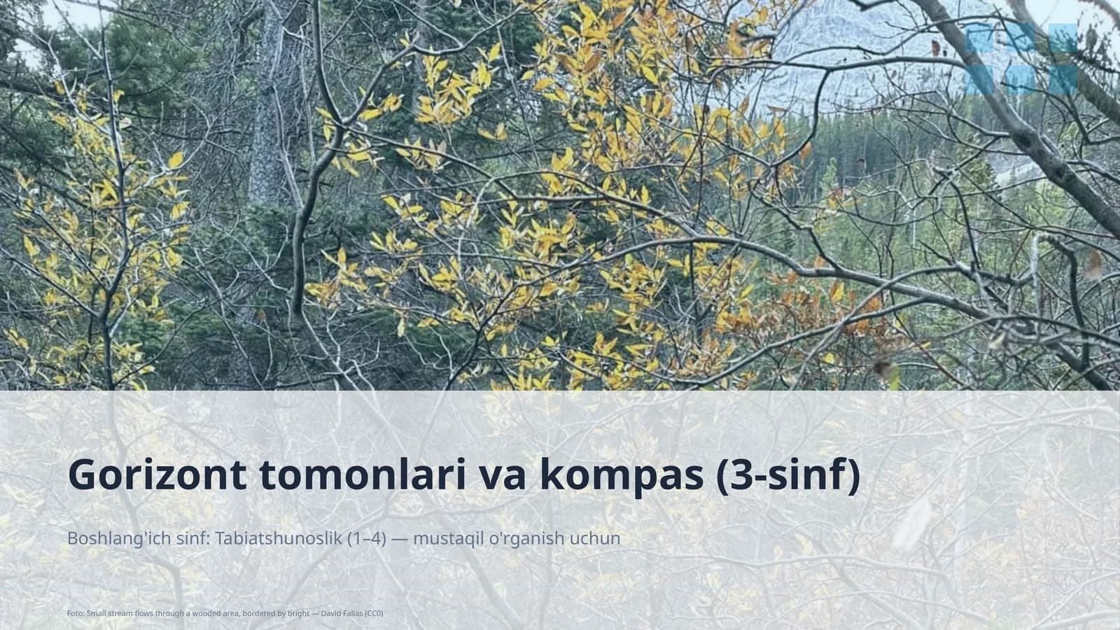 Gorizont tomonlari va kompas (3-sinf)