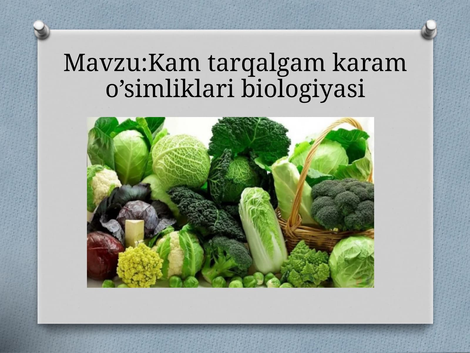 Kamtarqalgam karamo’simliklari biologiyasi