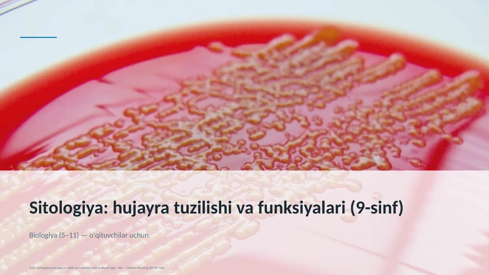 Sitologiya: hujayra tuzilishi va funksiyalari (9-sinf)