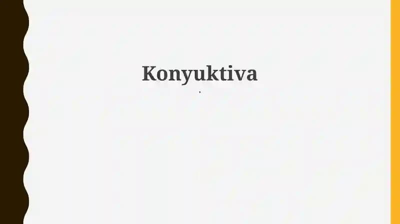 Kon'yunktiva