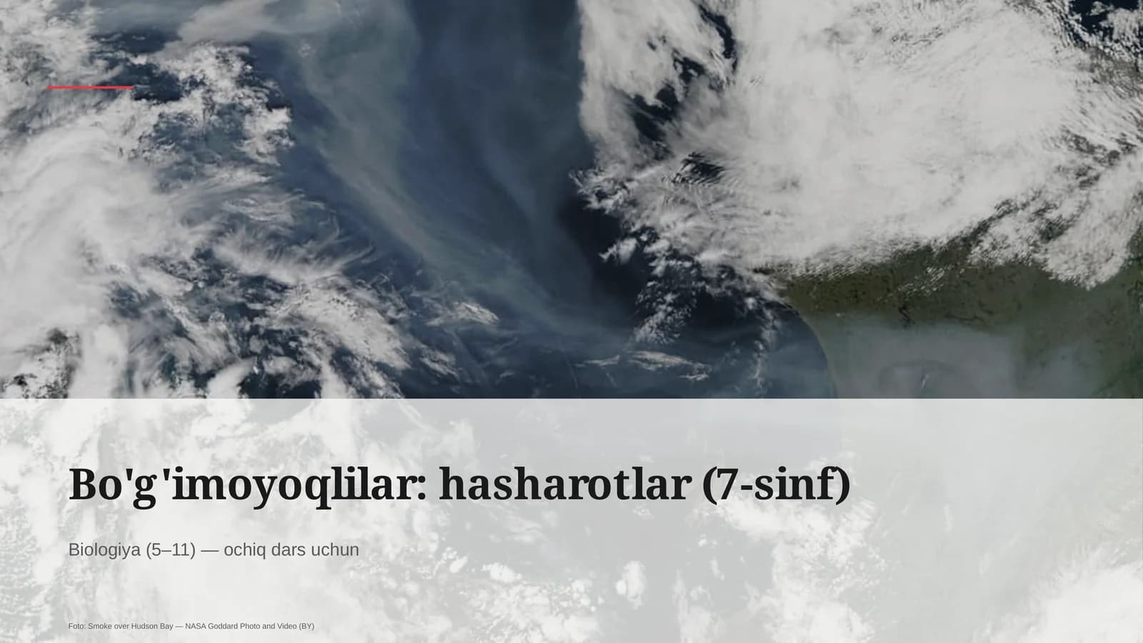 Bo'g'imoyoqlilar: hasharotlar (7-sinf)