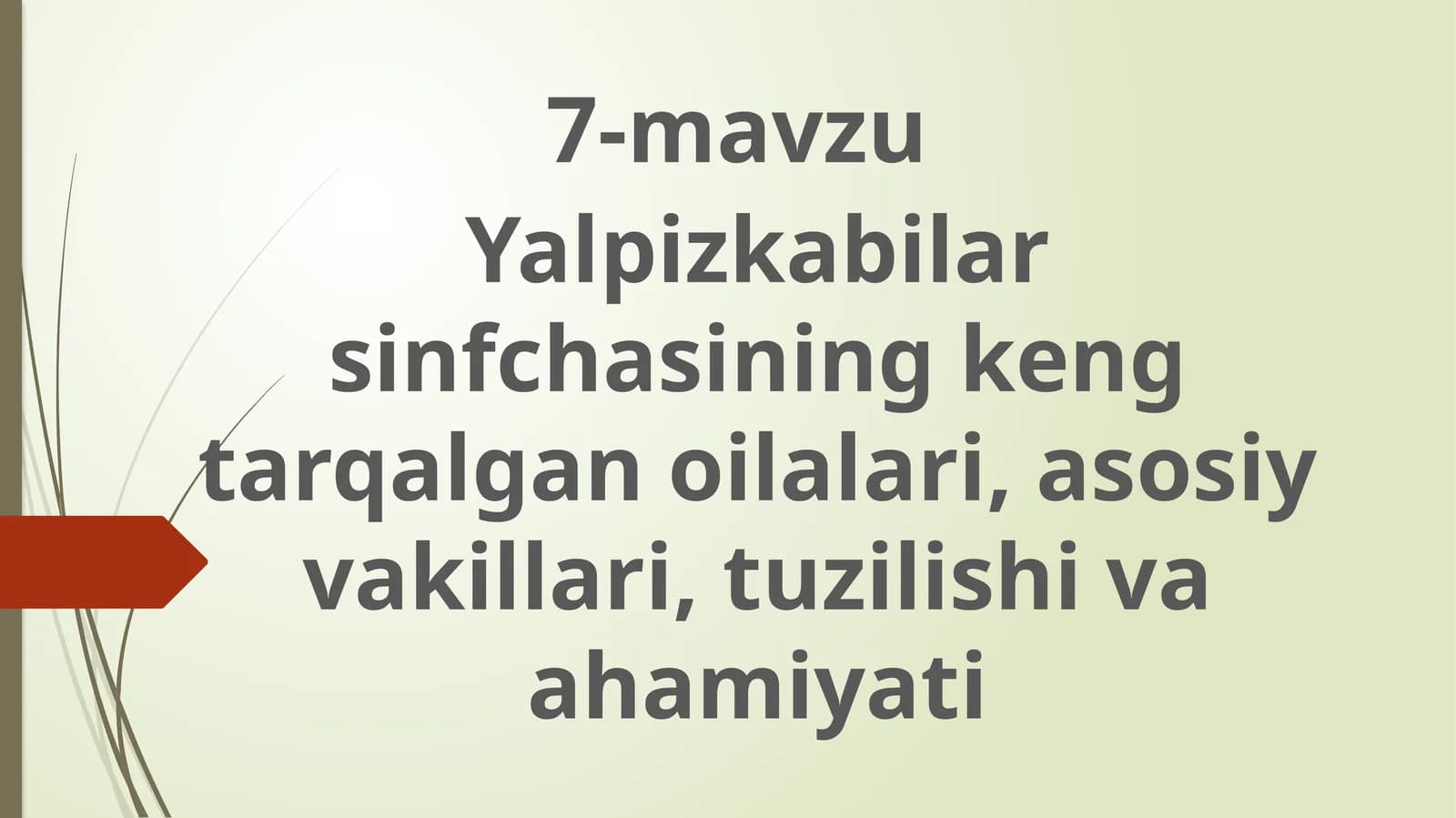 Yalpiznamolar qabilasining asosiy oila, turkum va turlari