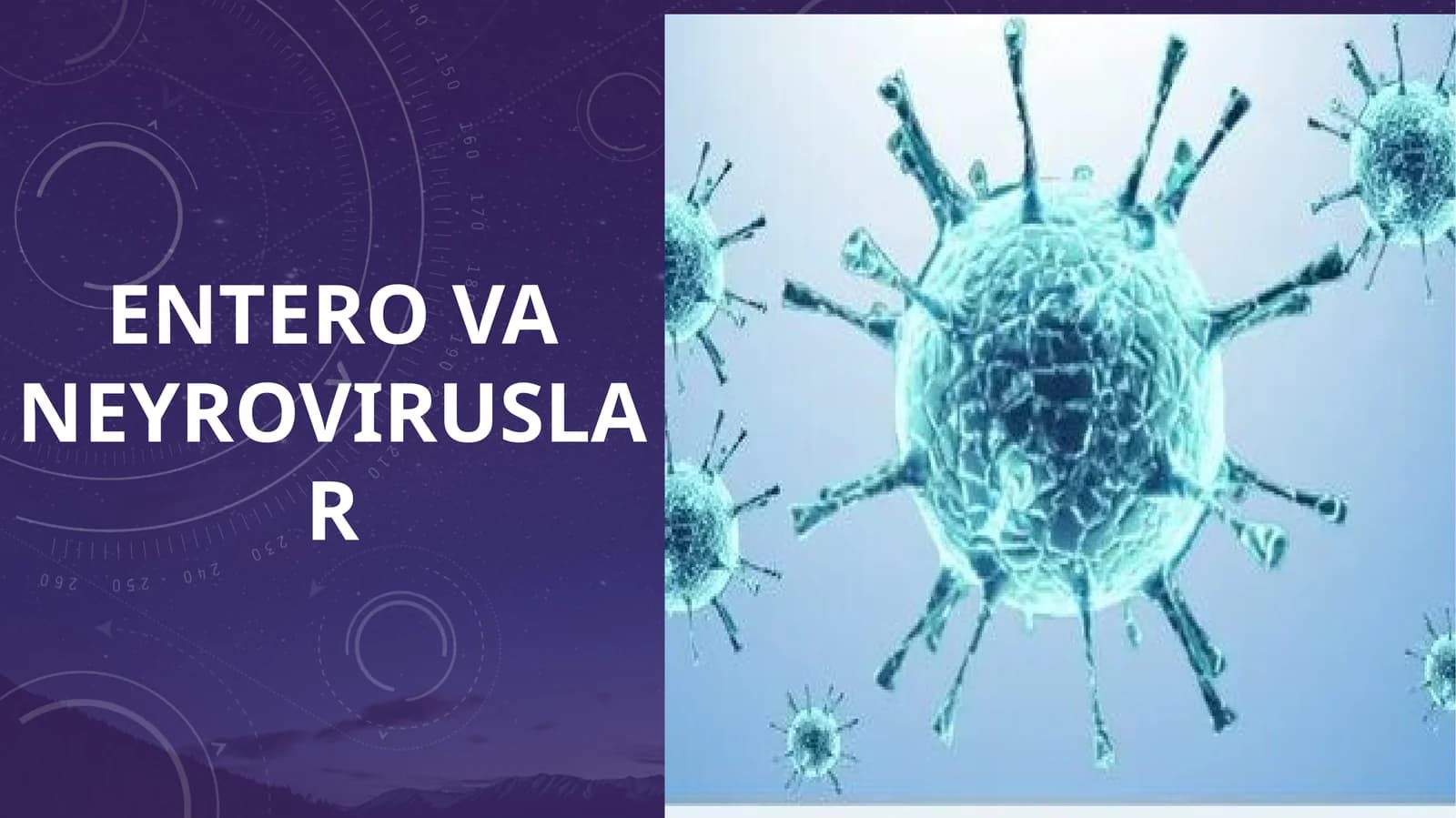ENTERO VA NEYROVIRUSLAR