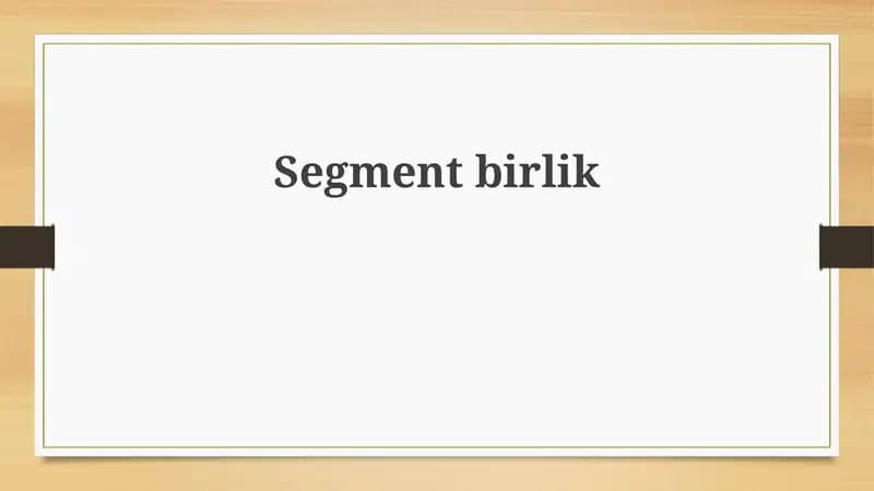 Segment birliklar