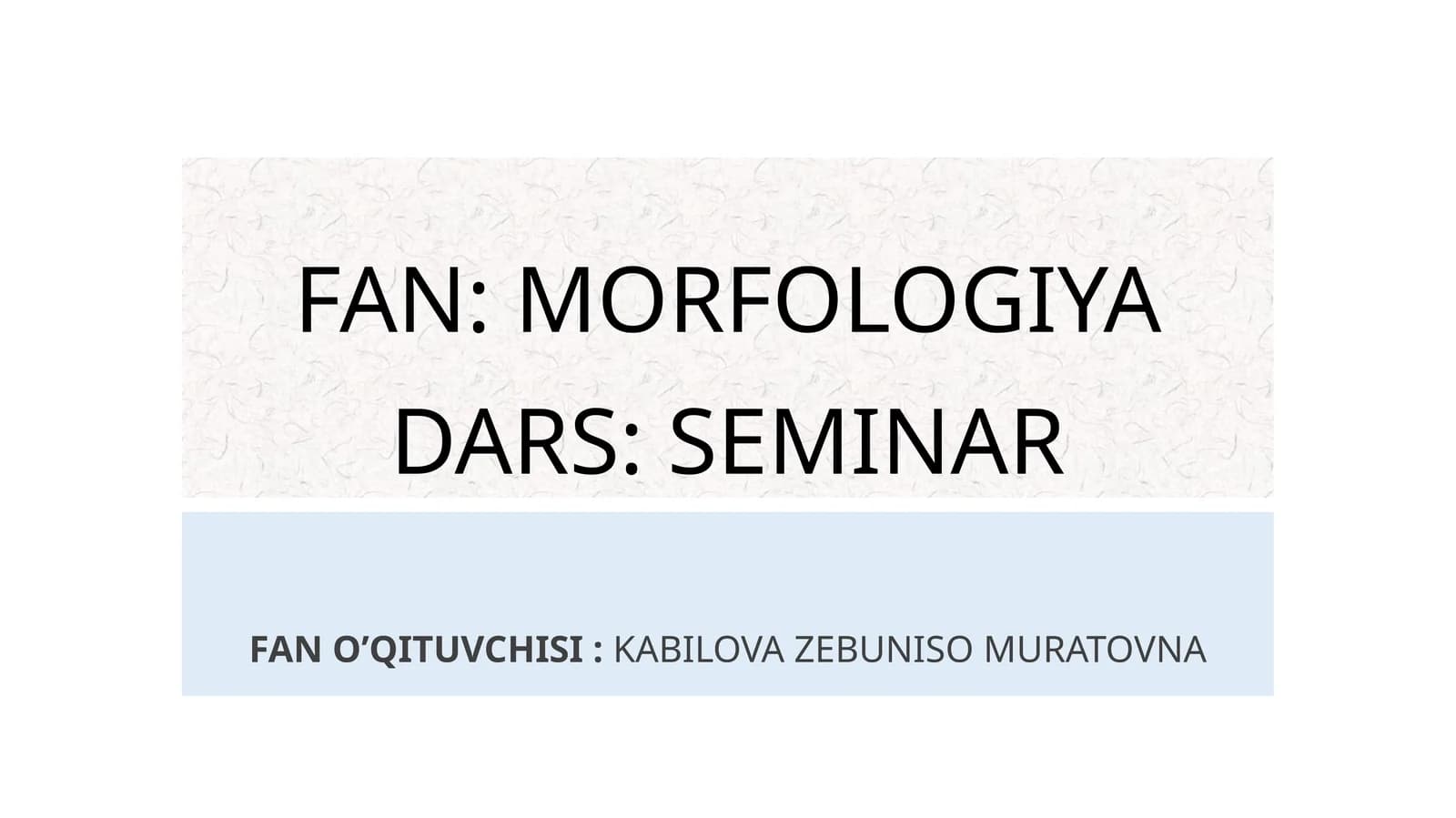 MORFOLOGIYADARS: SEMINAR