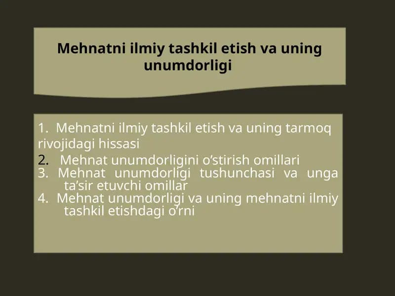 Mehnatni ilmiy tashkil etish va unumdorligi