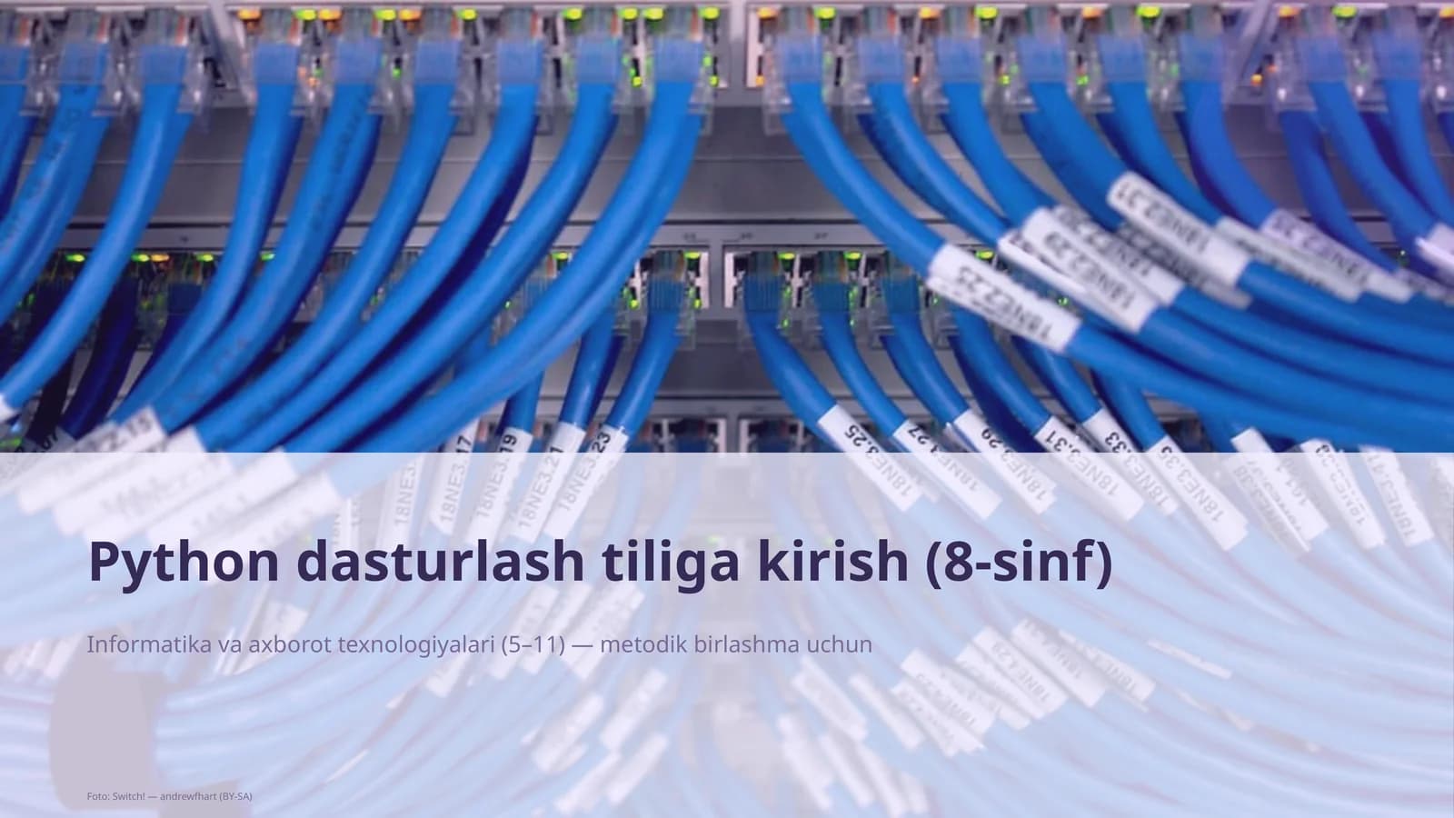 Python dasturlash tiliga kirish (8-sinf)