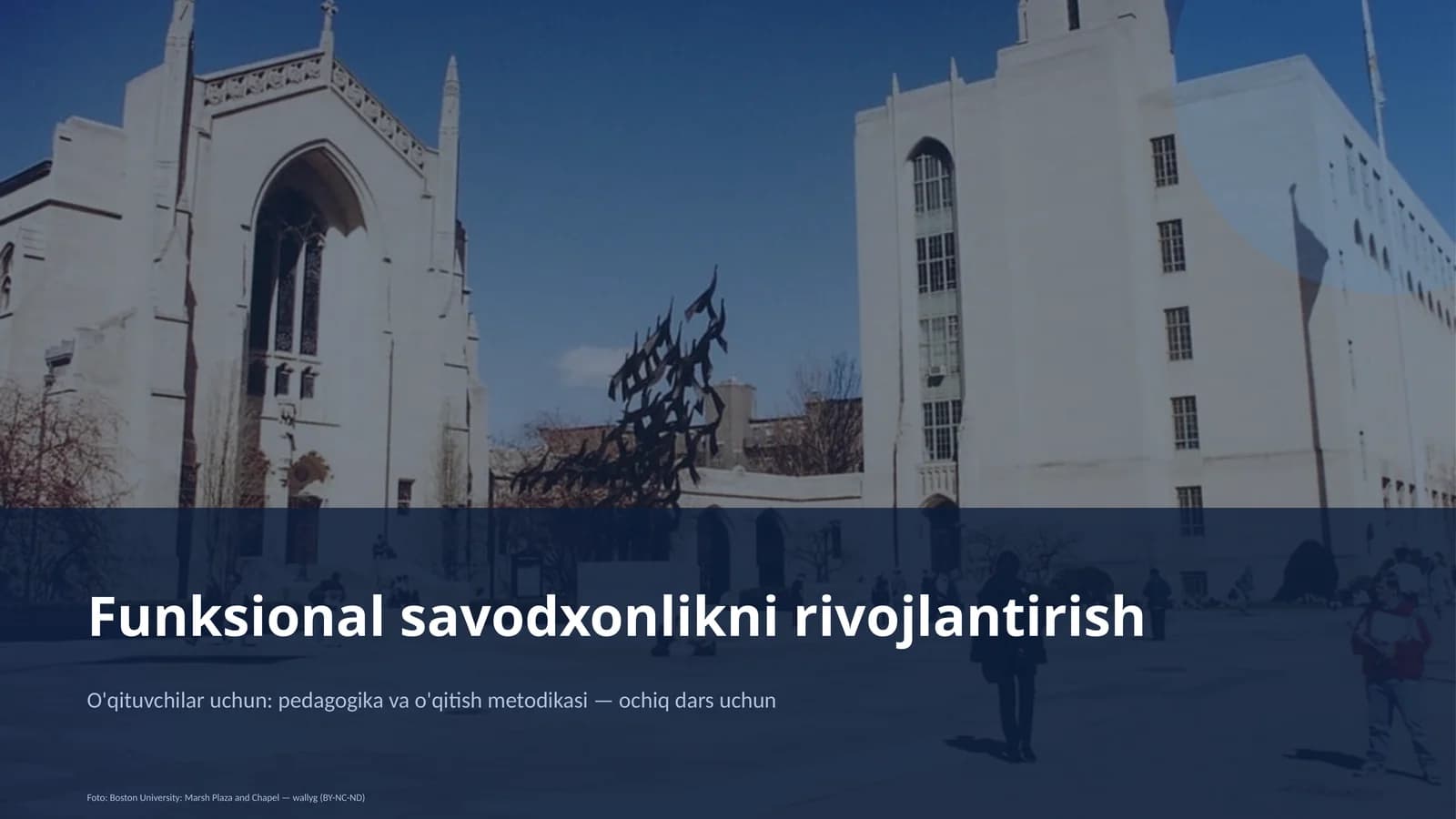 Funksional savodxonlikni rivojlantirish