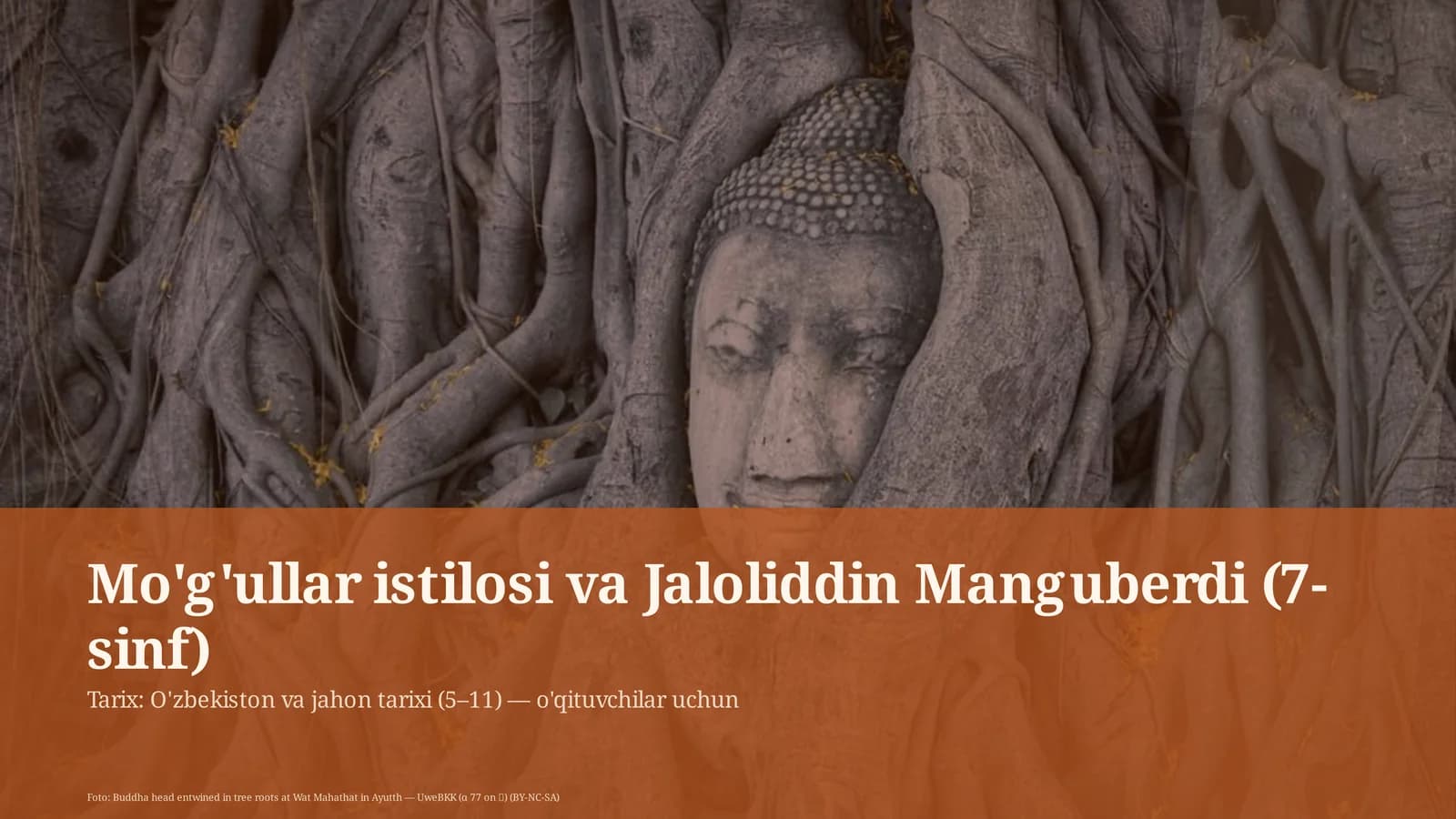 Mo'g'ullar istilosi va Jaloliddin Manguberdi (7-sinf)