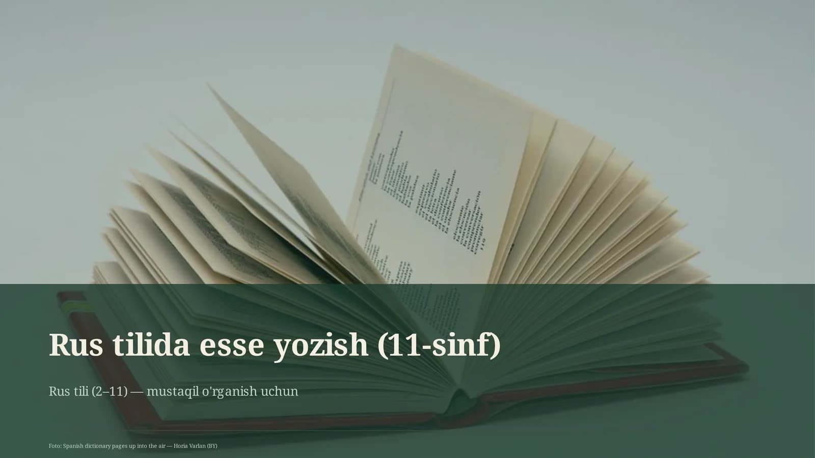 Rus tilida esse yozish (11-sinf)