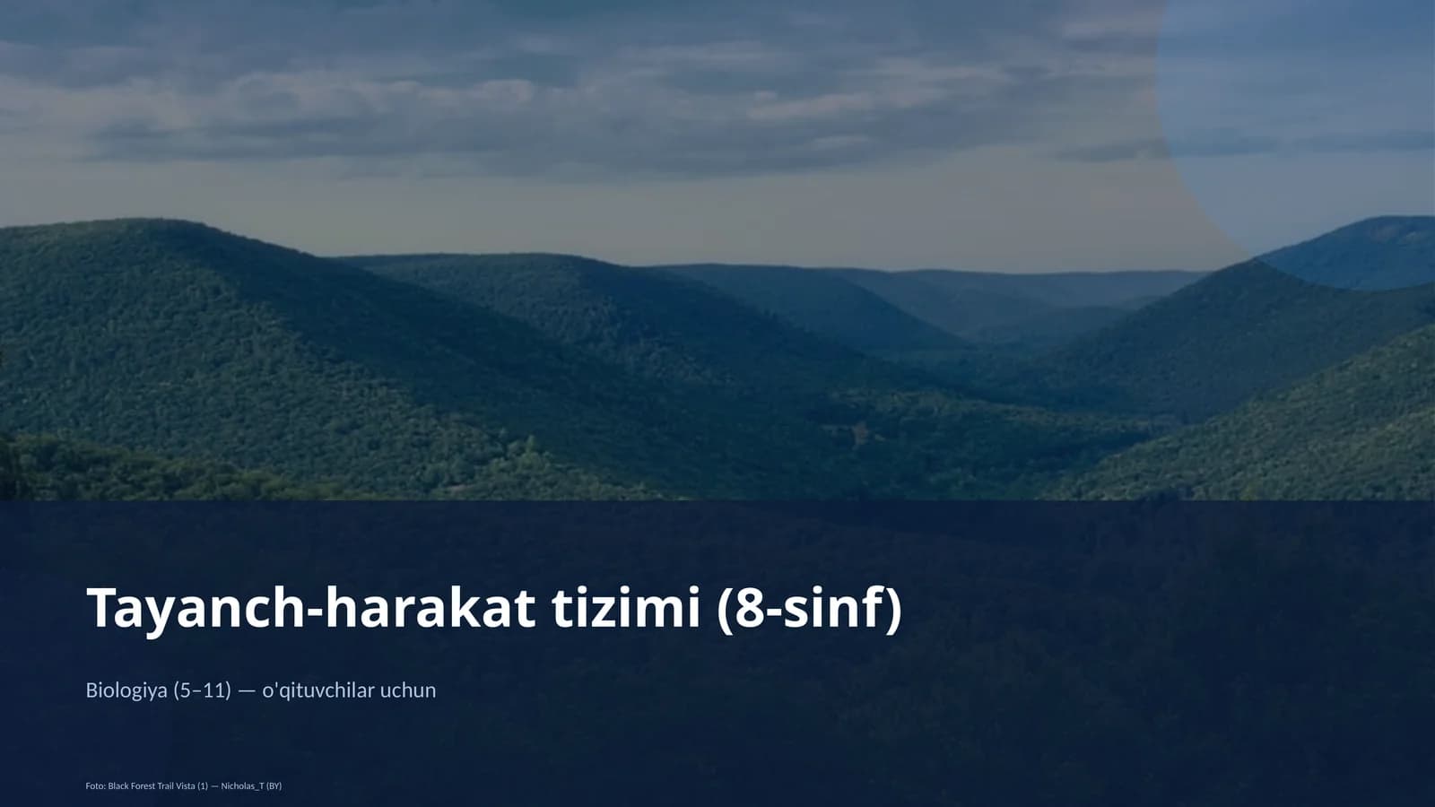 Tayanch-harakat tizimi (8-sinf)