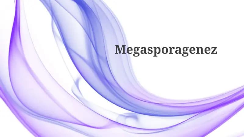 Megasporagenez