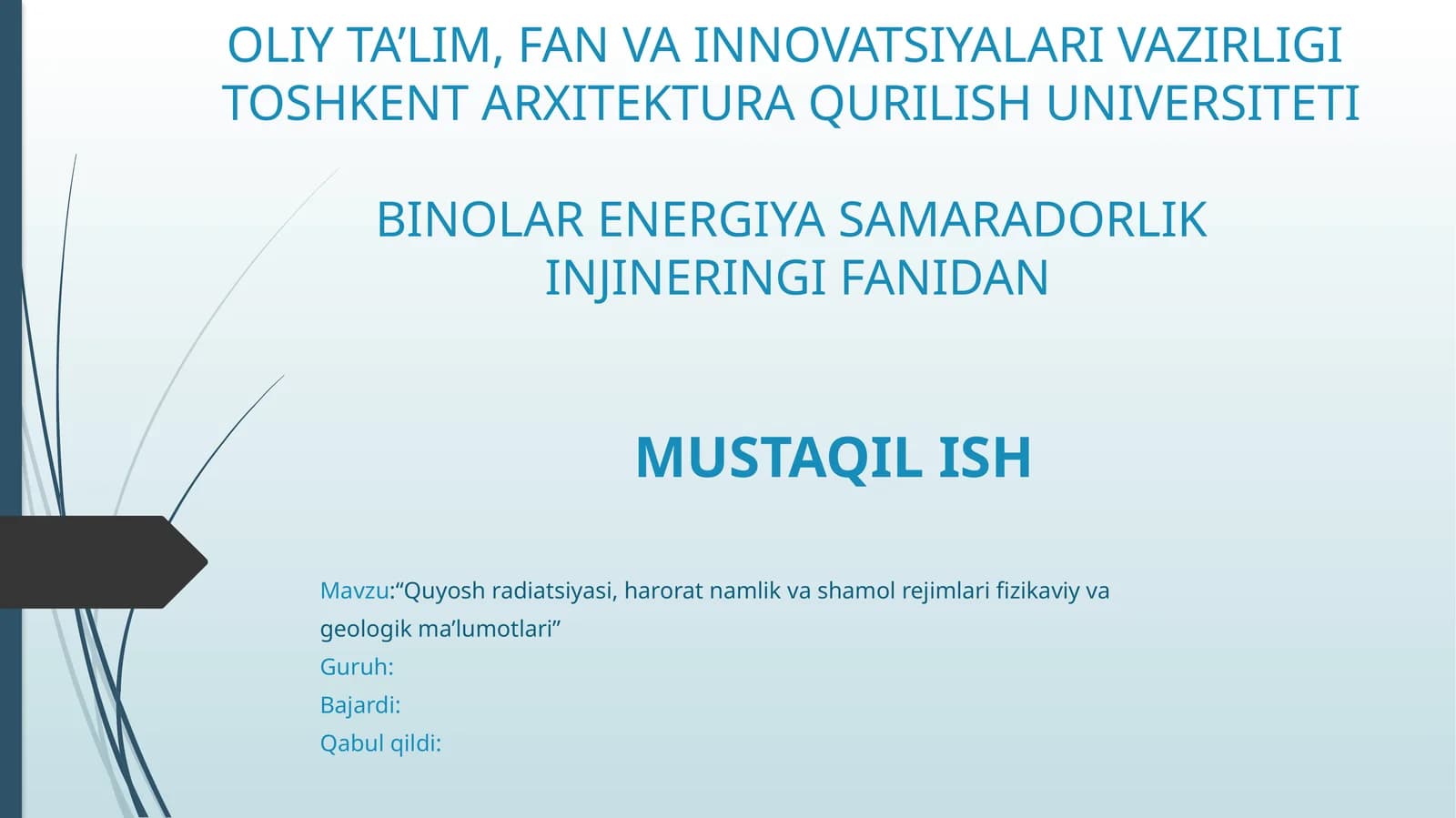 Mustaqil ish