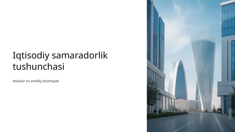 Iqtisodiy samaradorlik