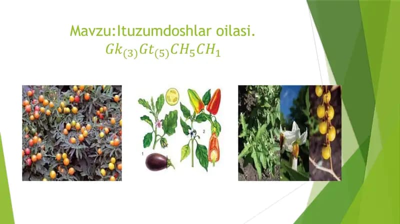 Ituzumdoshlar oilasi
