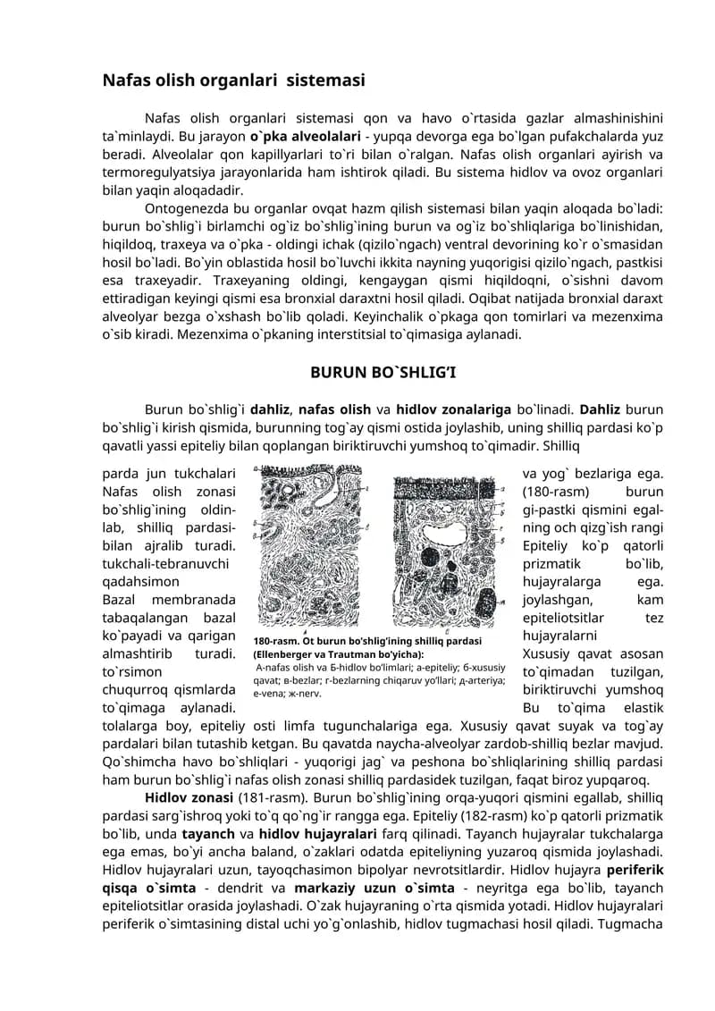 Nafas olish organlari sistemasi