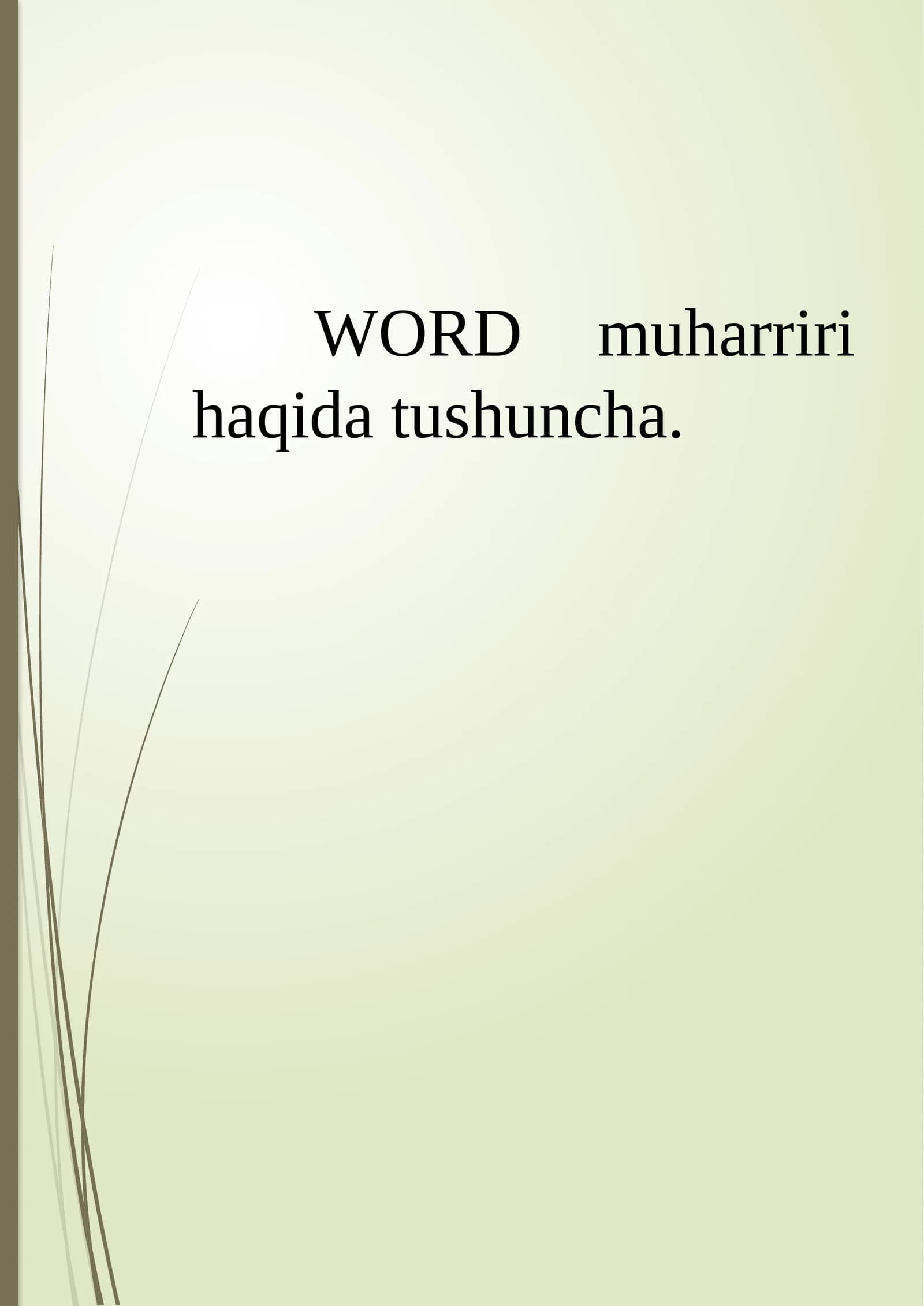 Microsoft Word