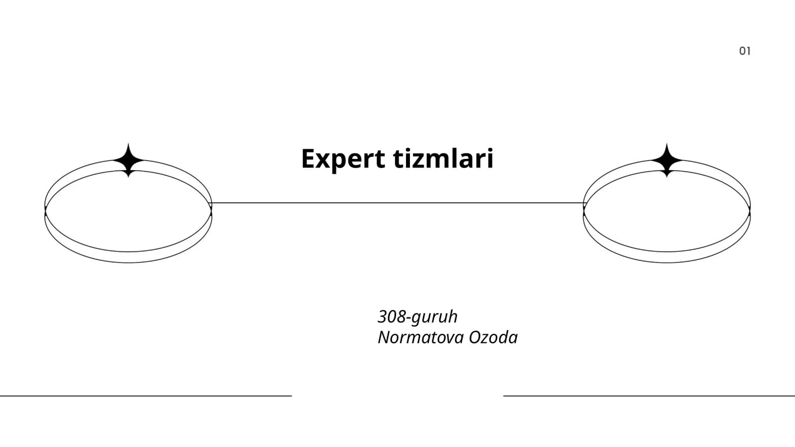 Expert tizmlari