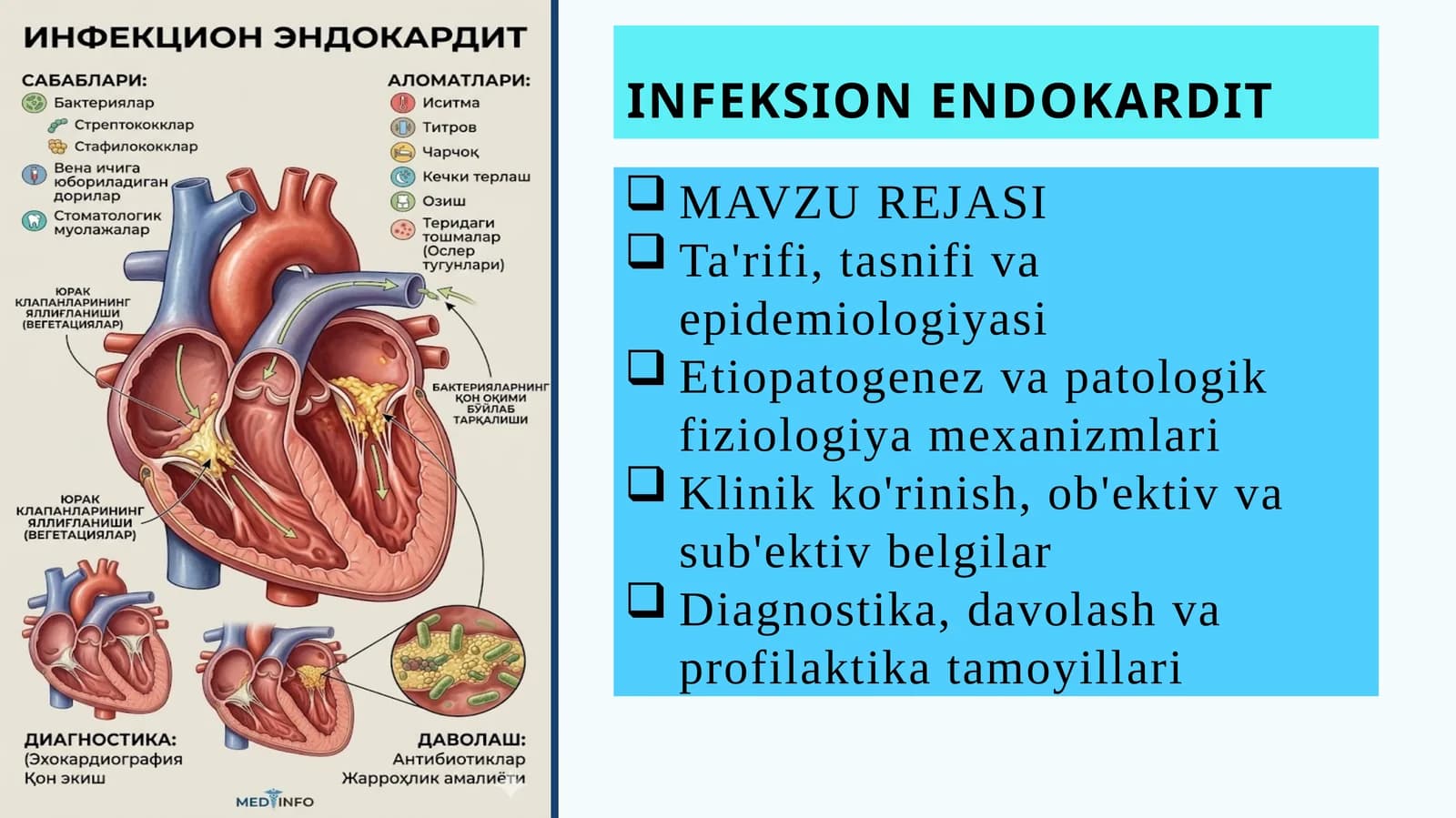 INFEKSION ENDOKARDIT PREZENTATSIYA