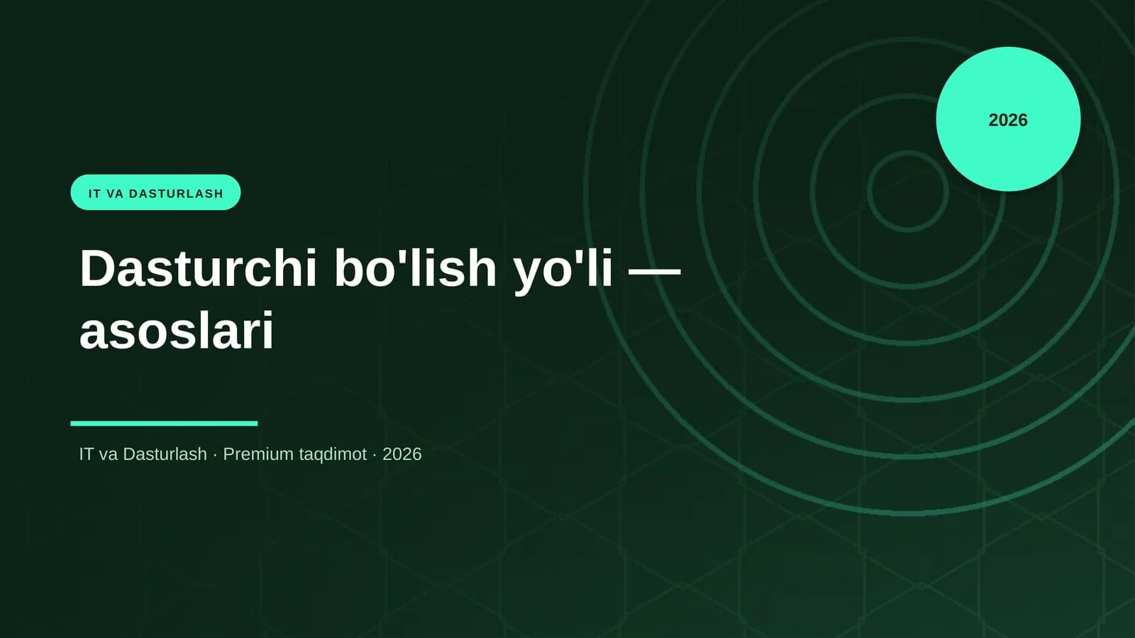 Dasturchi bo'lish yo'li — asoslari