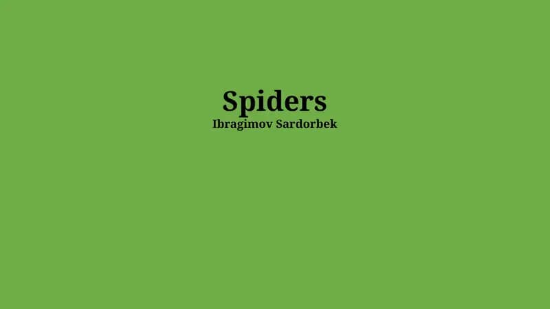 Spiders