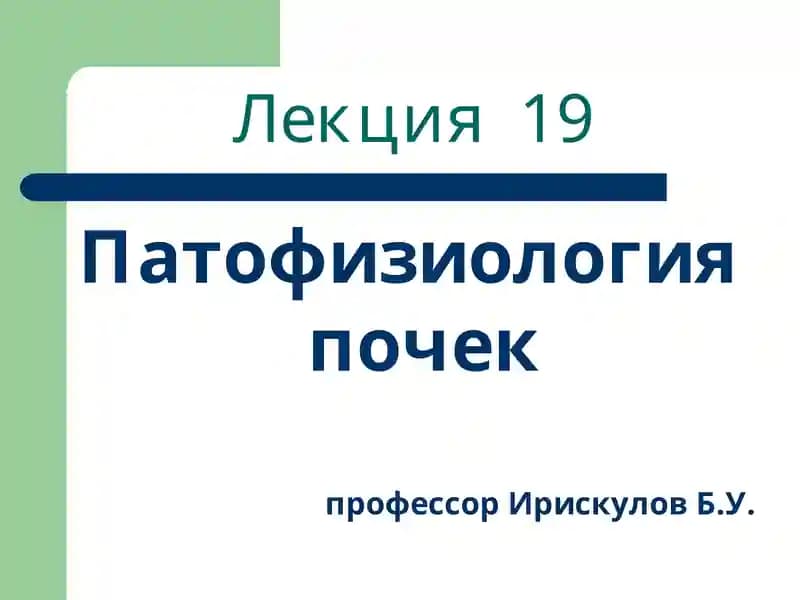 Патофизиология почек