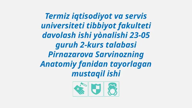 Termiz iqtisodiyot va servis universiteti Tibbiyot fakulteti